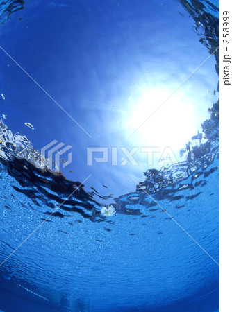 海と空とプルメリア