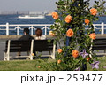 薔薇のある公園