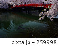 春陽橋と鯉