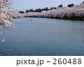弘前公園 西濠 桜のトンネル