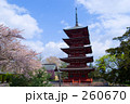 桜と五重塔
