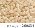 玄米