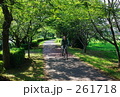 夏のサイクリングロード