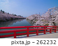 弘前城　桜と春陽橋