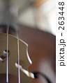 263448