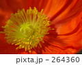 264360