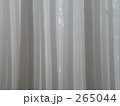 素材ナンバー 265044 : 「霧の森」
