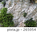 素材ナンバー 265054 : 「苔と岩」