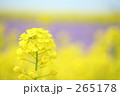 優しさ