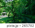 戸定邸－夏の散歩道