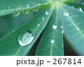 水滴