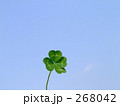 青空にクローバー