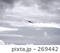 野鳥