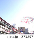 231