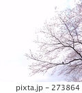 237