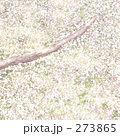 238