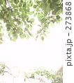 241