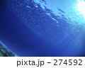 274592