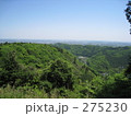 高尾山の山中
