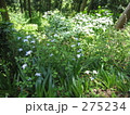 高尾山の山中