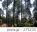 高尾山の山中