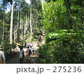 高尾山の山中