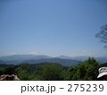 高尾山の山中