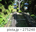 高尾山の山中