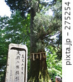 高尾山の寺院と天狗