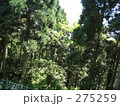 高尾山
