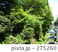 高尾山