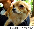 パパに抱かれて