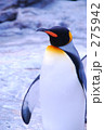 ペンギン