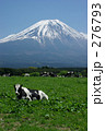 富士山麓（縦構図）