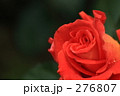 薔薇_013