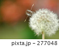 同じ未来へ。。。