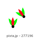 277196