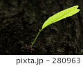 １枚