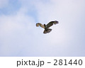 たか