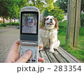 カメラ付き携帯電話