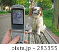 カメラ付き携帯電話