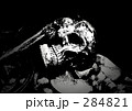 skeleton