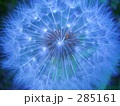 幻想空間
