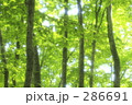 286691