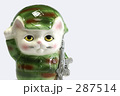 迷彩猫-2
