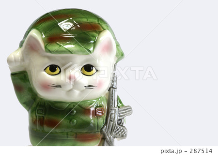 迷彩猫-2 迷彩猫-2
