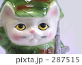 迷彩猫-1 迷彩猫-1