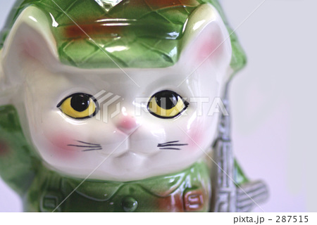 「迷彩猫-1」の写真素材