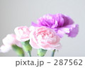素材ナンバー 287562 : 「無題」