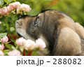 いいにおい～。。。。